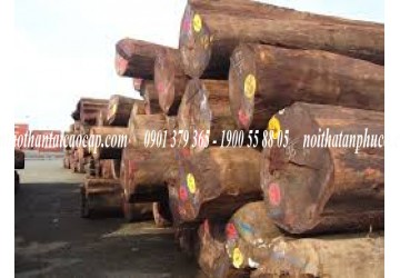 Kinh doanh gỗ nguyên liệu